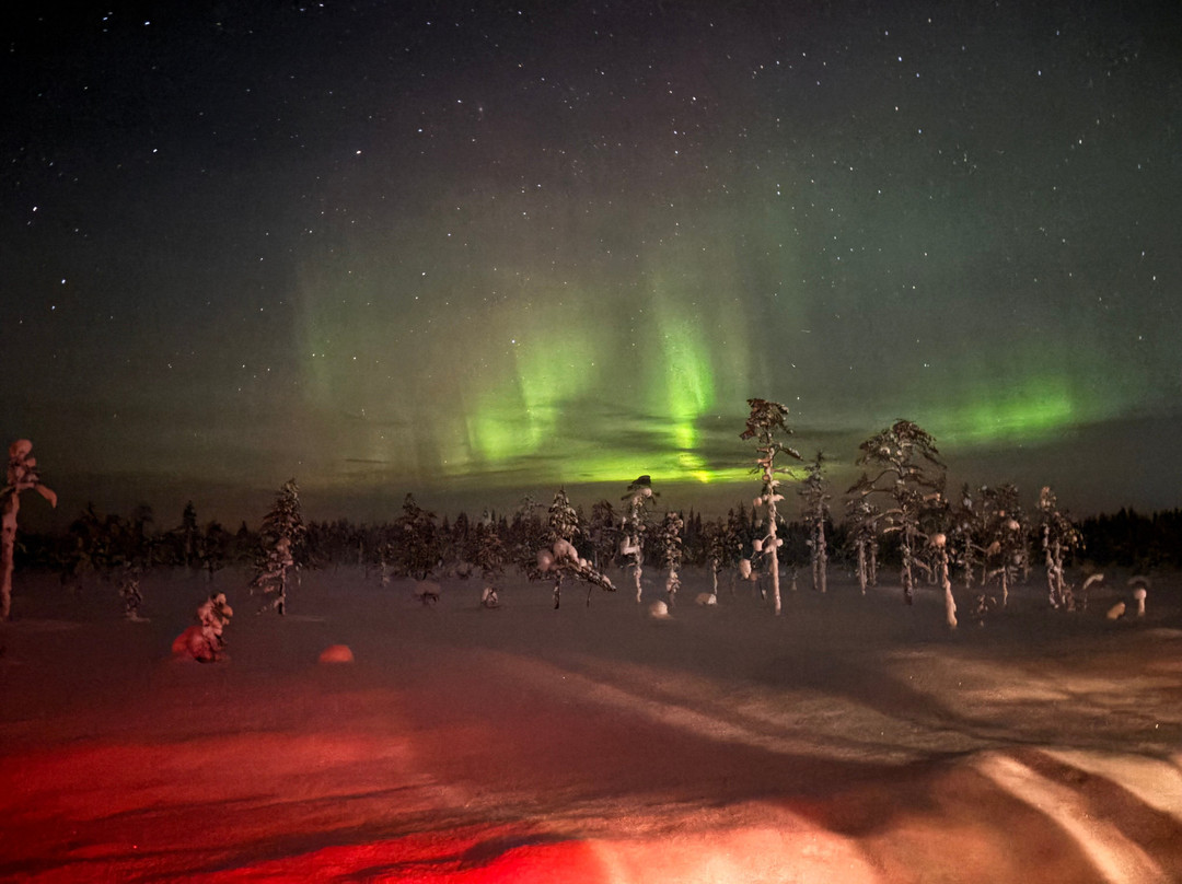 Arktictopia-罗瓦涅米必去景点