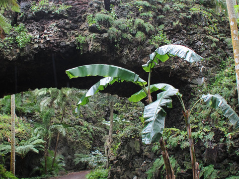 Jardim Botânico António Borges-蓬塔德尔加达必去景点