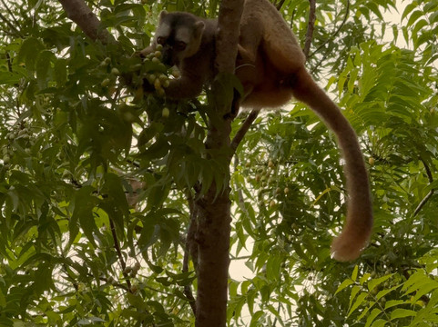 Soul of Madagascar Tours-Toamasina (Tamatave)必去景点