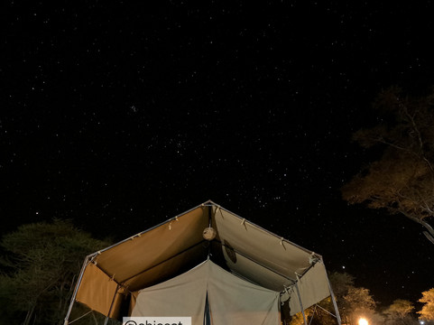 African Scenic Safaris-莫西必去景点