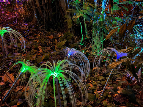 The Xperience-利巴诺伊必去景点