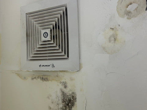 路瓦长绿酒店主图