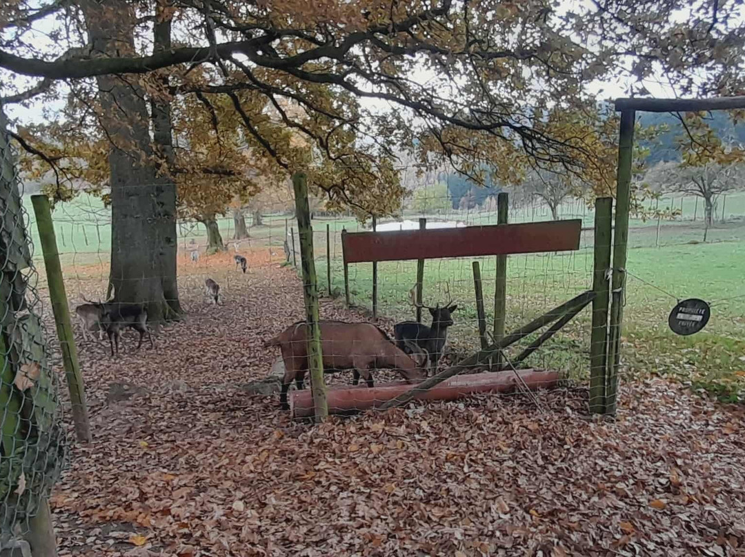 大香槟酒店主图