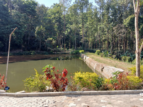 Chola Lakeview Stay Inn主图