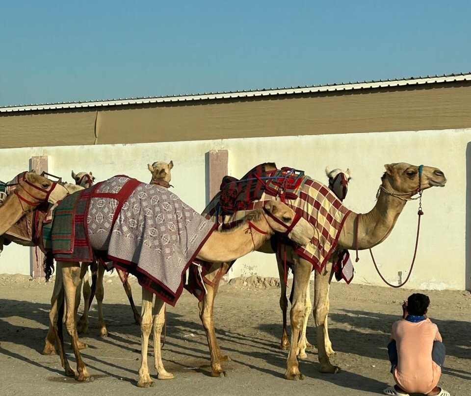 Al Shahaniya Racetrack-Ash-Shahaniyah必去景点