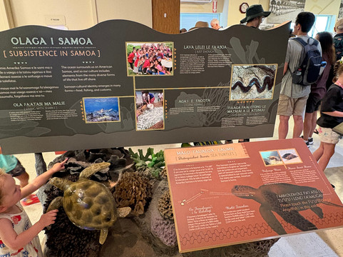 Tour American Samoa-Pago Pago必去景点