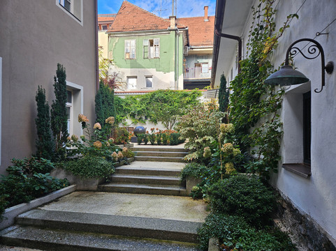 花园客房酒店主图