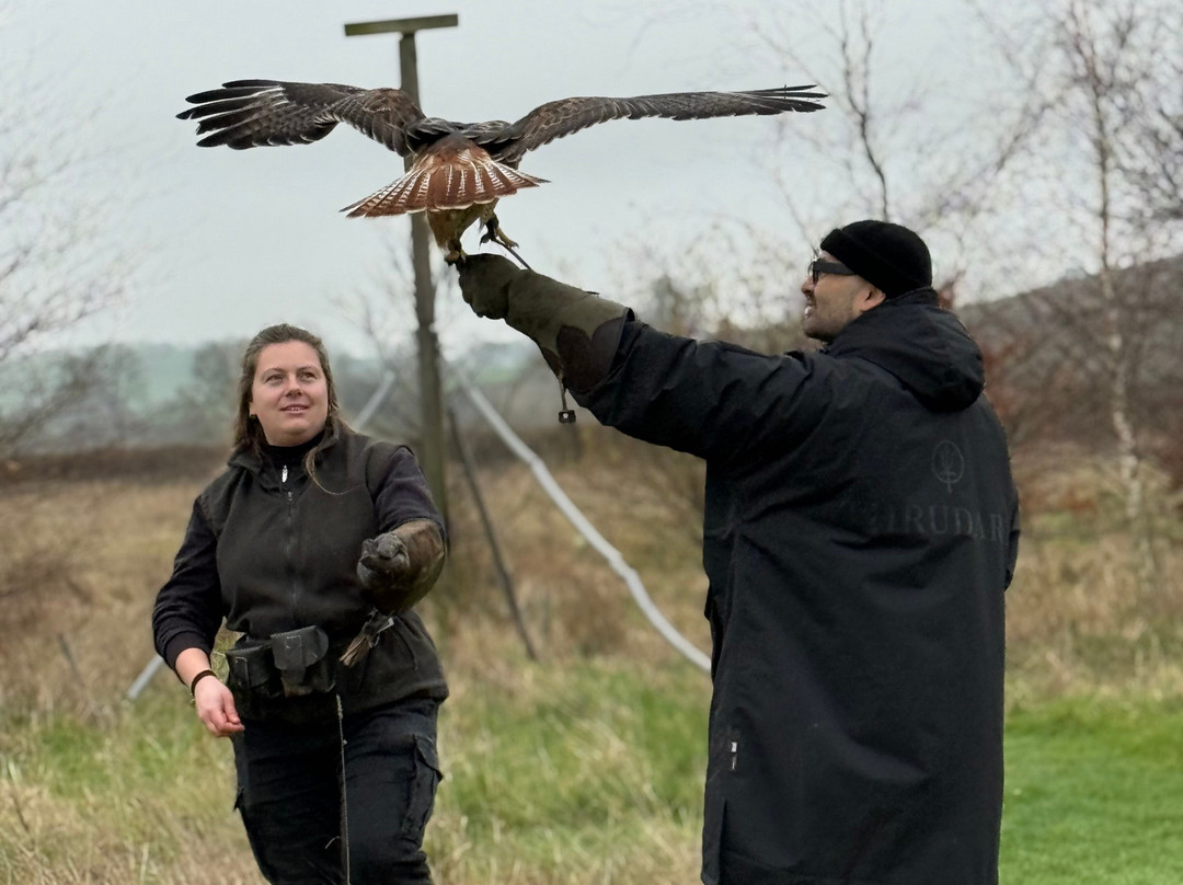 Bird on the Hand Falconry Experiences-Church Langton必去景点