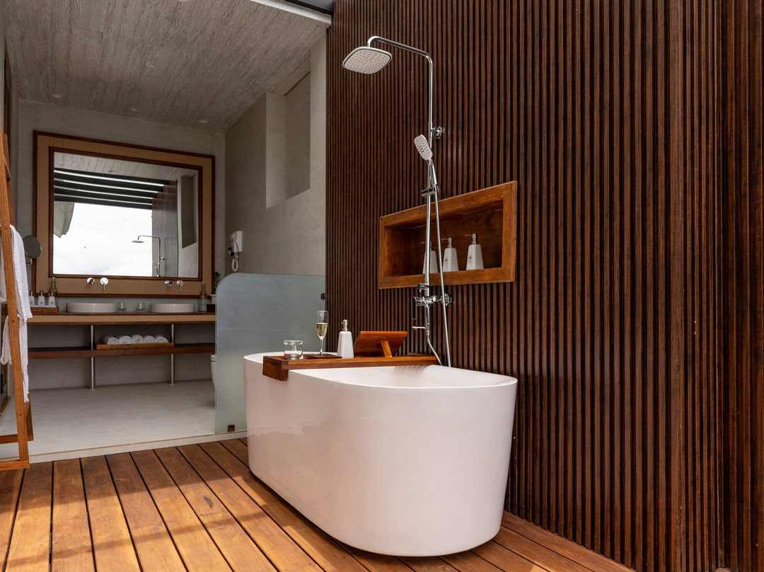 安德里亚拉主图