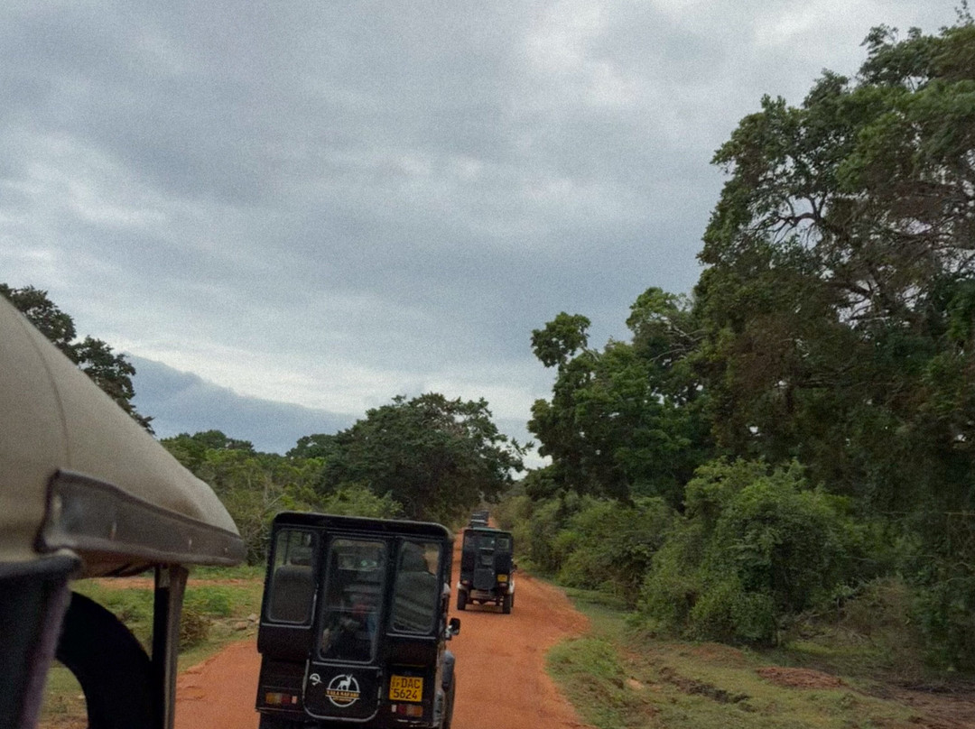 Sri Lanka Trails Travels-Kamburugamuwa必去景点