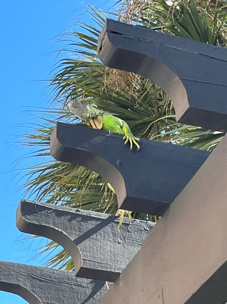 佛罗里达市希尔顿惠庭酒店-官方