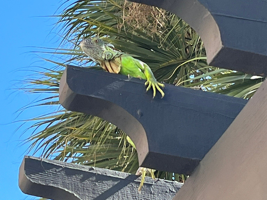 佛罗里达市希尔顿惠庭酒店主图