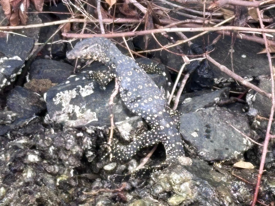 RICHLANKATOURS-科伦坡必去景点