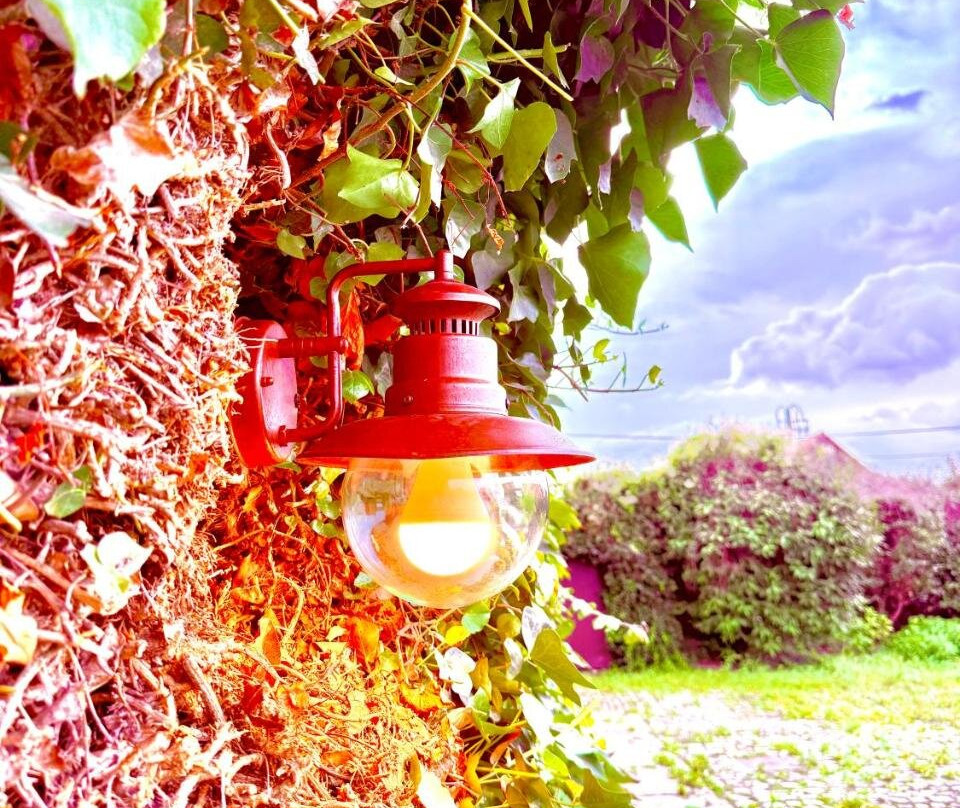 La Ferme des Roses