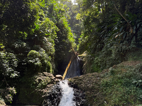 Seven Sisters Waterfalls Grenada-Grand Etang National Park必去景点