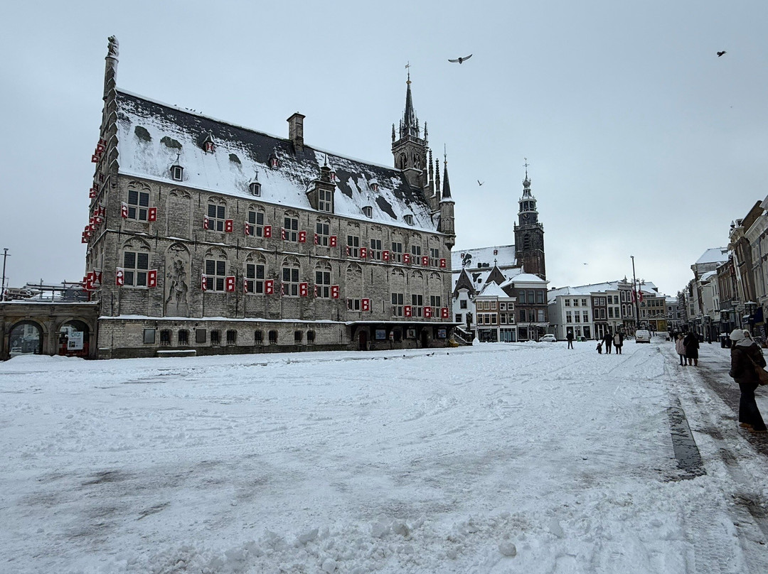Stadhuis Gouda (City Hall)-高德必去景点