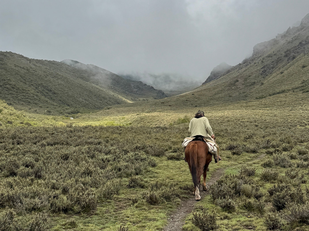 Horse Trek Andes-门多萨必去景点