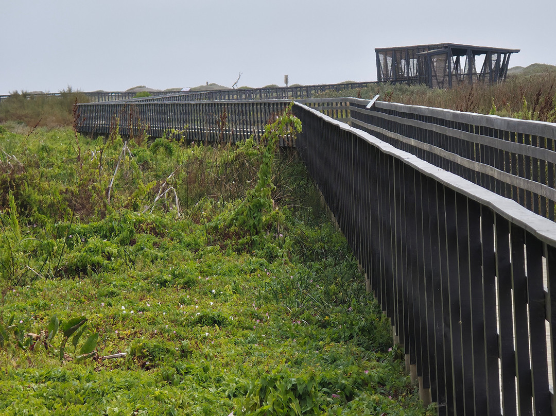 Humedal Rio Maipo-圣安东尼奥必去景点
