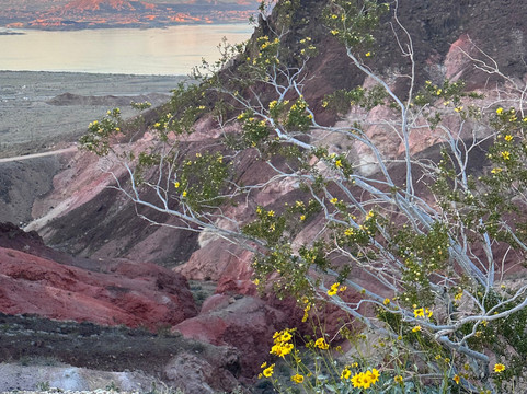 胡佛水坝小屋主图
