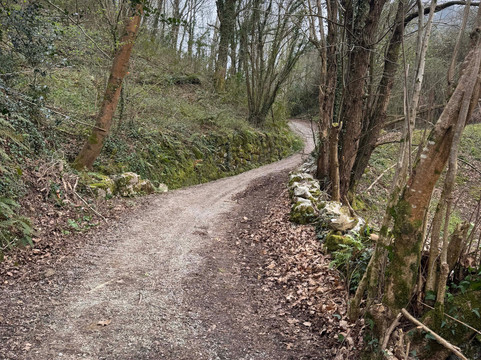 Cave of El Castillo-Puente Viesgo必去景点