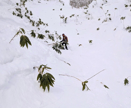 Hanazono Powder Guides-俱知安町必去景点