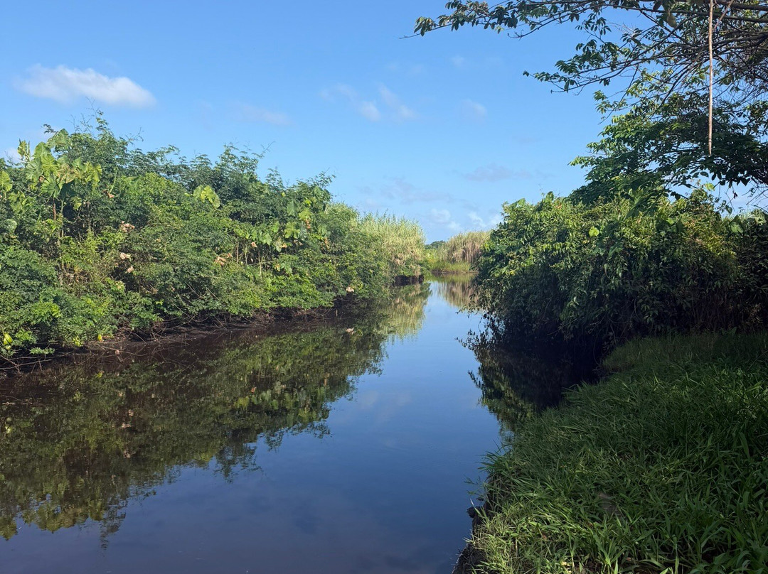 Limeland Tours-特立尼达必去景点