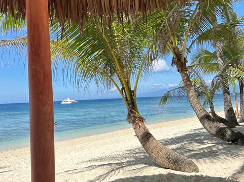 Coco Grove Dive Shop-Tubod必去景点