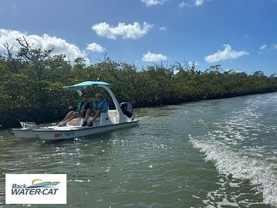 Backwater Cat Adventure-棕榈海岸必去景点