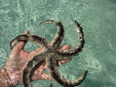 True Blue Charters | Spanish Wells Bahamas Guide-Spanish Wells必去景点