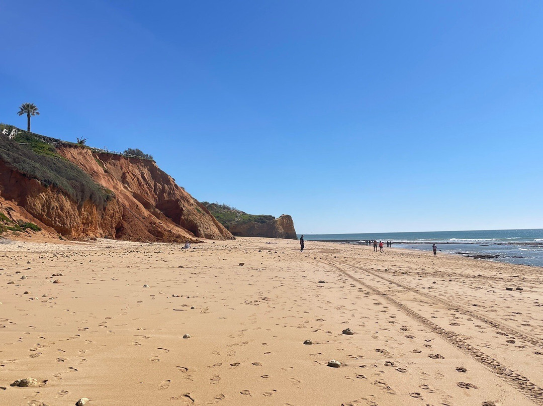 Velamar精品酒店 - 朋友的成人主图