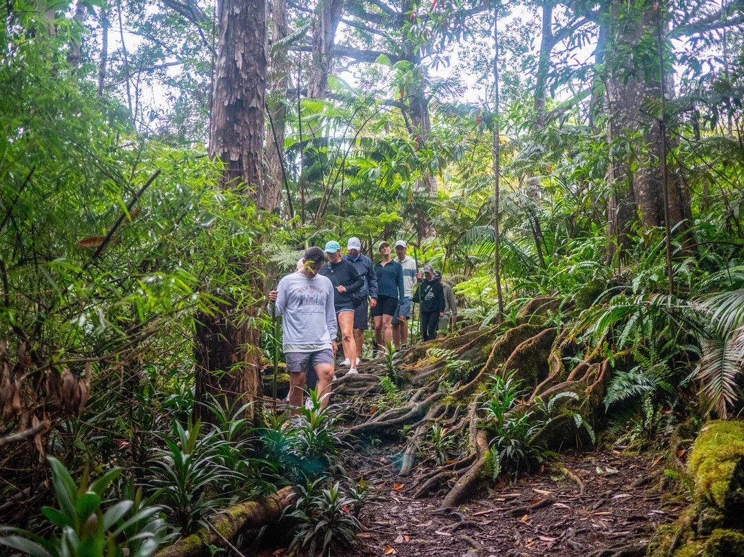 Kona Cloud Forest Sanctuary