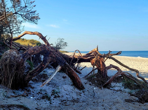 Weststrand-Ostseebad Prerow必去景点