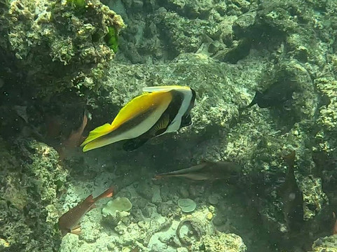 Karlos Excursions-莫纳山必去景点