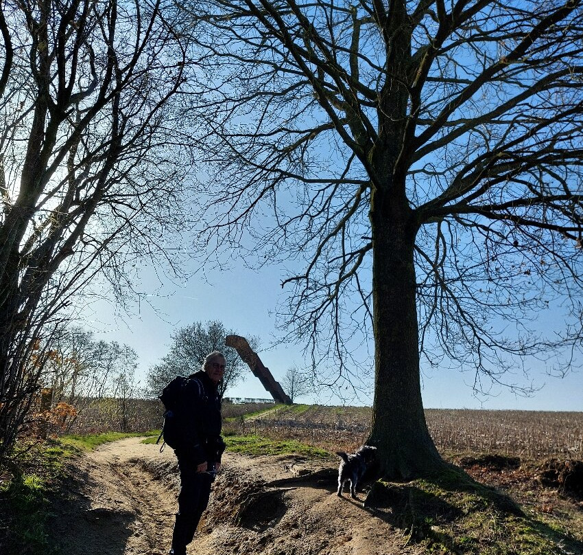 Vlooybergtoren-Tielt Winge必去景点