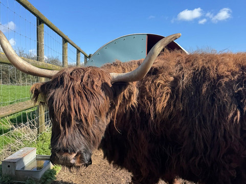 Walnut Tree Farm Park-St. Brides Wentlooge必去景点