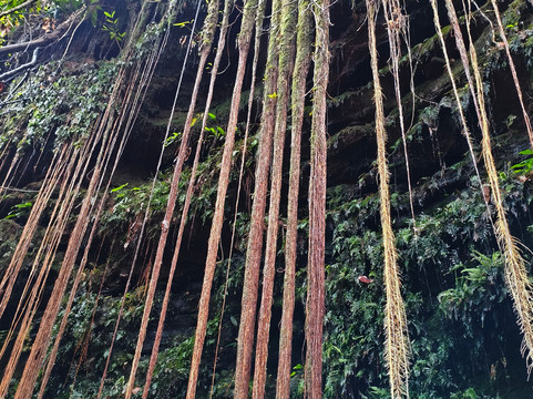 JALAPOEIROS ECOTOUR-Mateiros必去景点