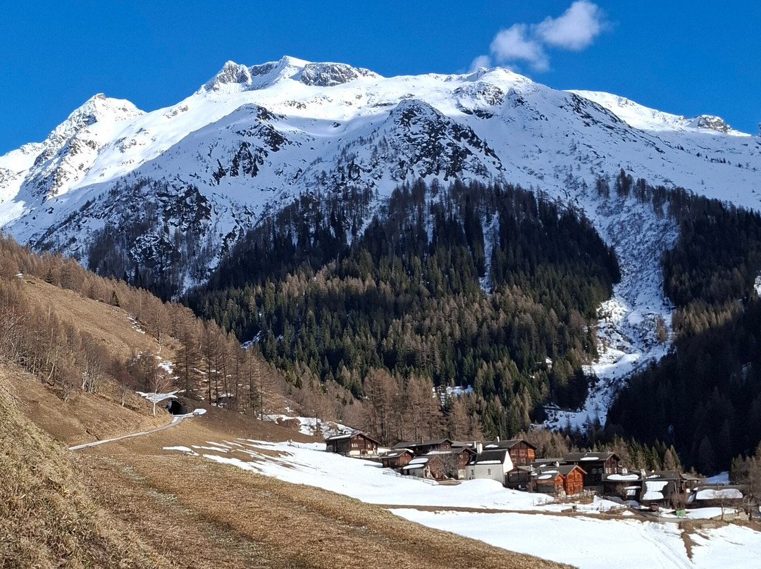 Bärgkristall Restaurant & Herberge主图