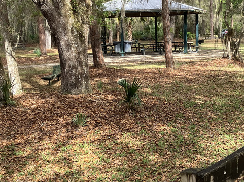Lake Ashby Park-新士麦那海滩必去景点