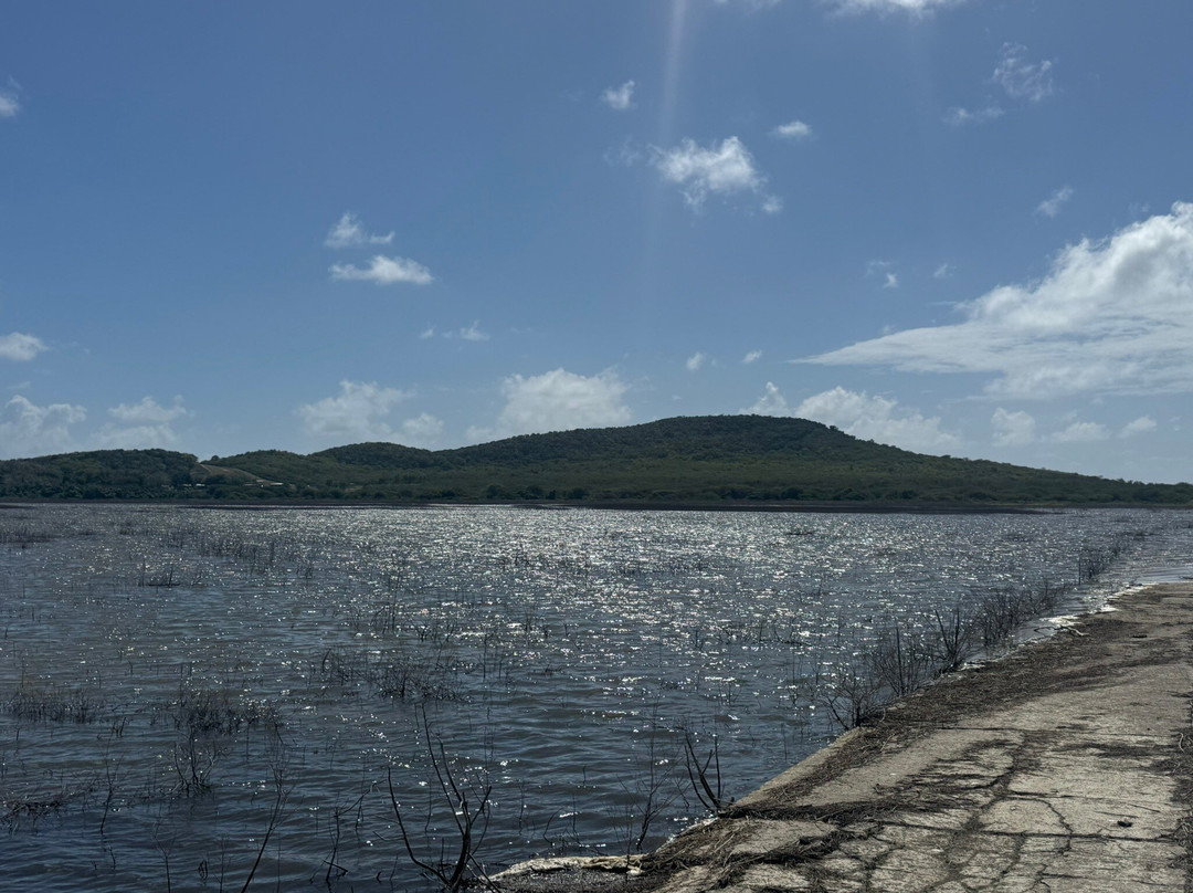 Pelican Safari Tours - Day Tours-安提瓜必去景点