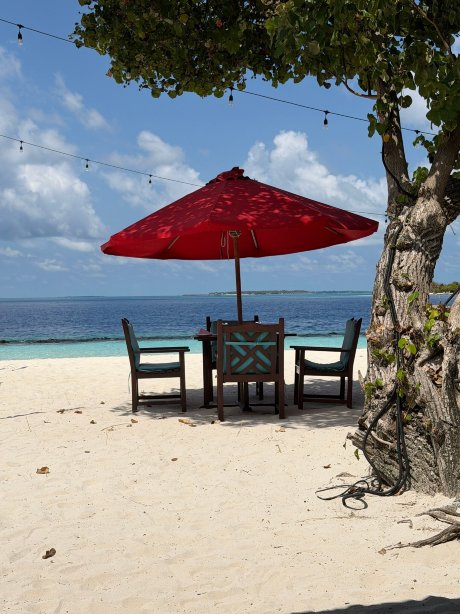 皇家岛度假村及水疗中心-官方