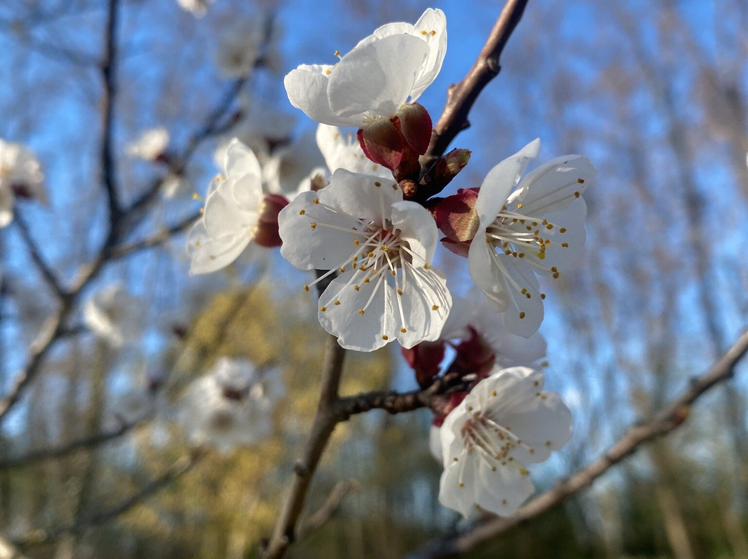 Kurzentrum Ludwigstorff主图