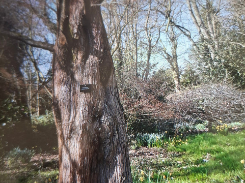 Green Island Gardens-Ardleigh必去景点