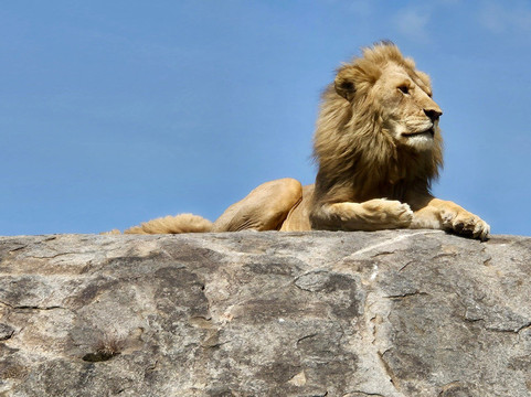 Big 5 Africa Tours-Bobingen必去景点