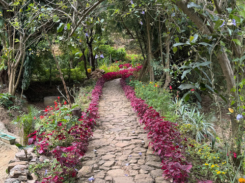 Amba Estate-班达拉维拉必去景点