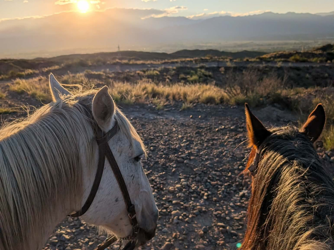 Los Pingos Horse Riding-Godoy Cruz必去景点