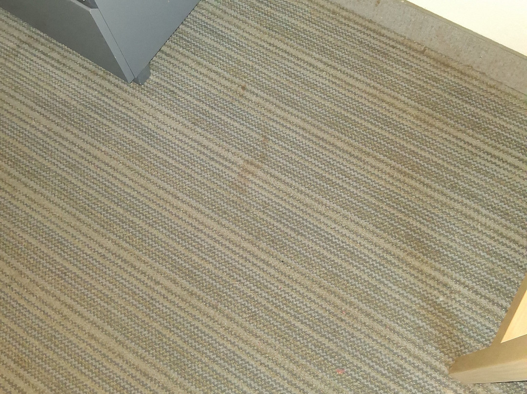 弗吉尼亚南纽波特纽斯丽怡酒店主图