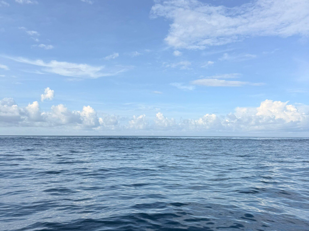 DPM Diving Nusa Penida-珀尼达岛必去景点