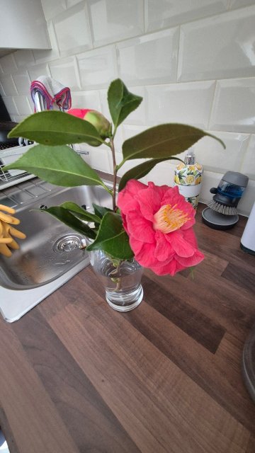 Park House Bed & Breakfast-官方