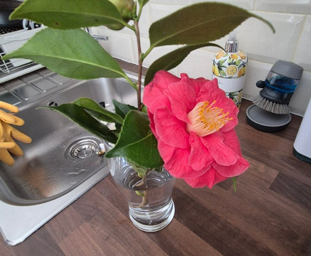 Park House Bed & Breakfast主图