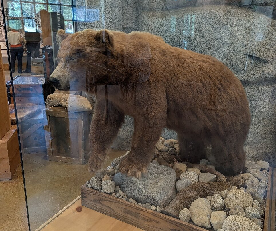 Donner Memorial State Park and Emigrant Trail Museum-特拉基必去景点